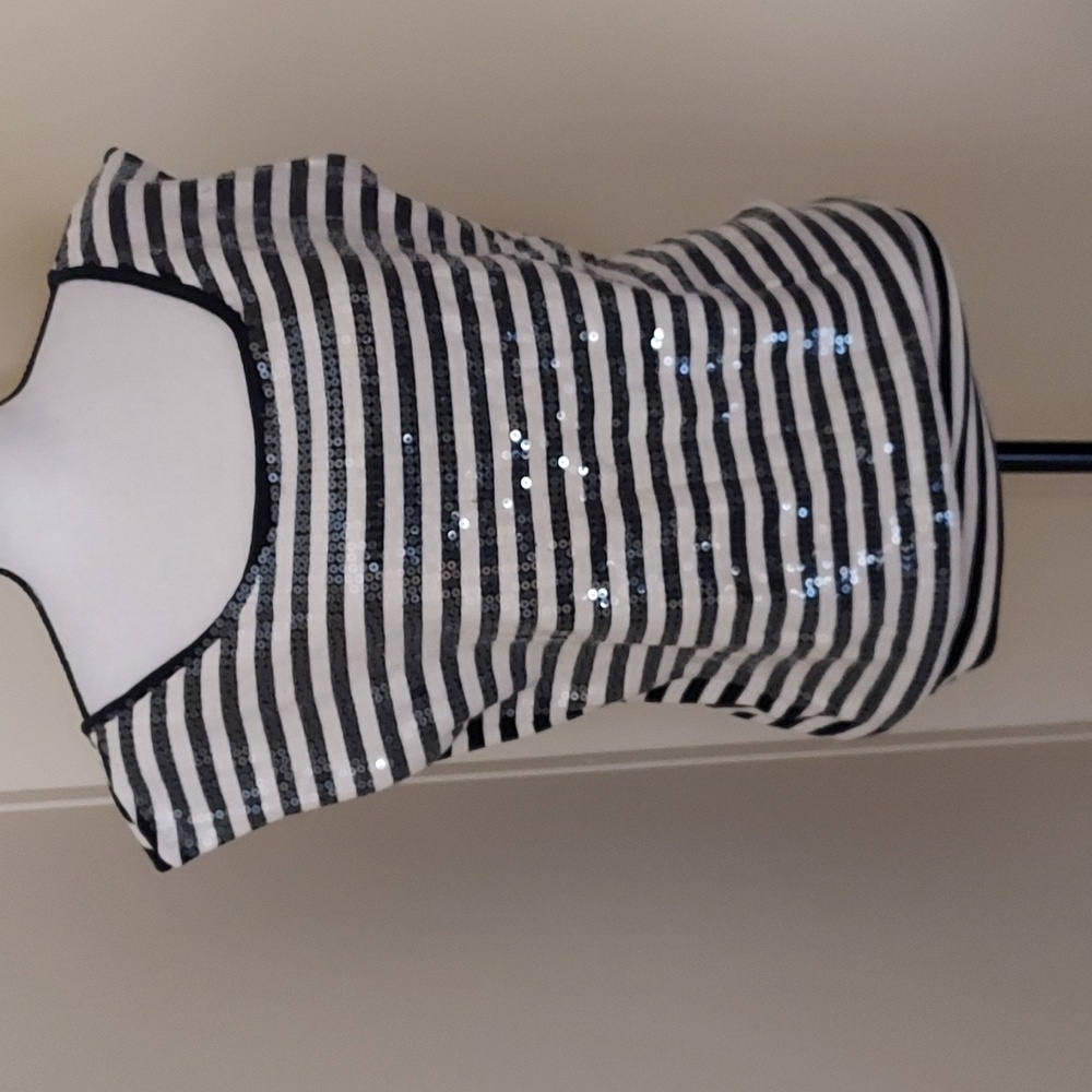 Arden B Striped Sequined Top